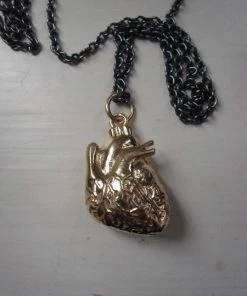 CollardManson Gold Plated Anatomical Heart Necklace