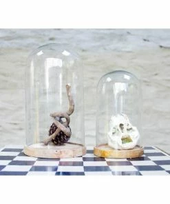 CollardManson Medium Dome Clear Glass