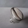 CollardManson Silver Natural Cowrie Shell Ring Deep Set