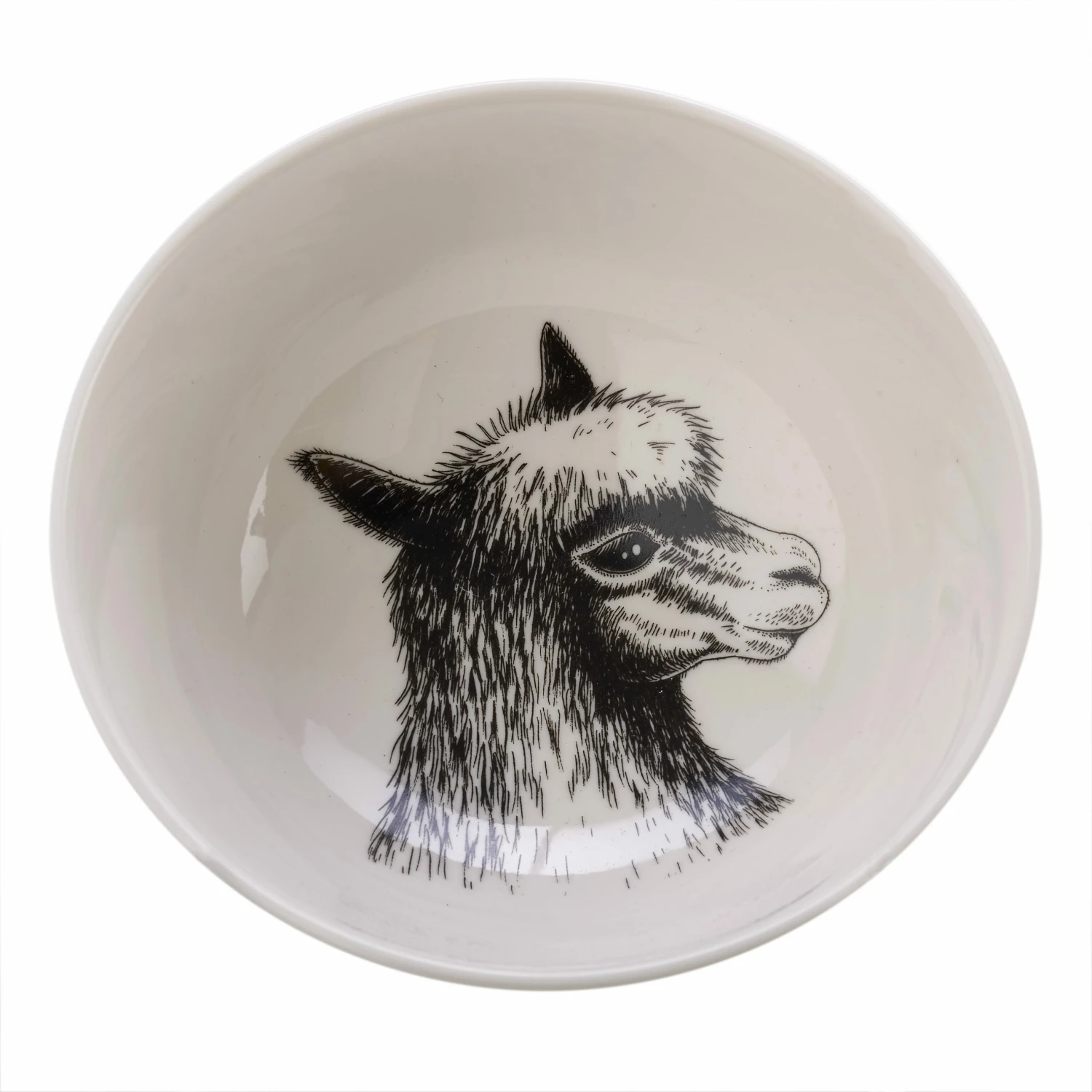 Pols Potten Snack Bowl Animals Set 6 8 Pols Potten Snack Bowl Animals Set 6